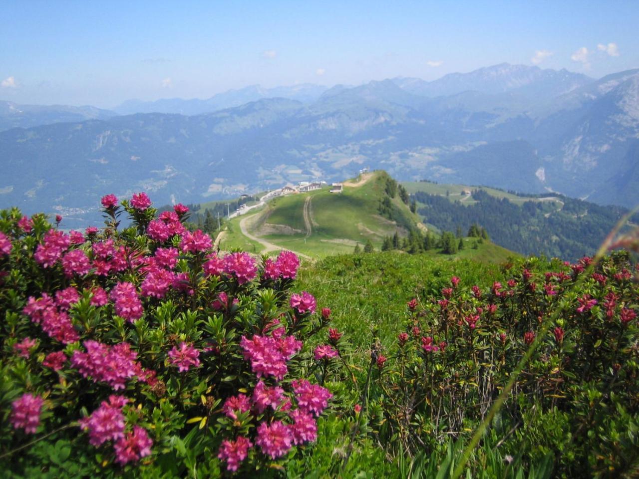 Samoens Apartment 2 Bedroom 50M2 Modern And Well Equipt Esterno foto
